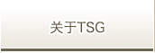 关于TSG